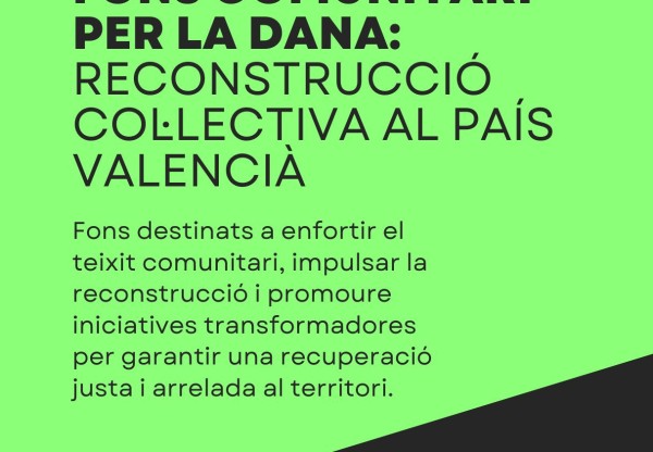 Imagen de cabecera de Fons comunitari per la DANA: resposta col·lectiva per al País Valencià