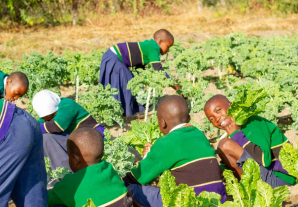 Imagen de cabecera de Alimentación escolar para los niños de la Escuela Primaria de Kitapilimwa, en Iringa, Tanzania.