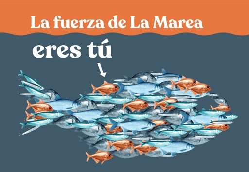 Imagen de cabecera de La fuerza de La Marea