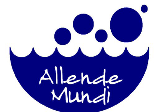 Imagen de cabecera de Proyecto Educativo de Allende Mundi 2023