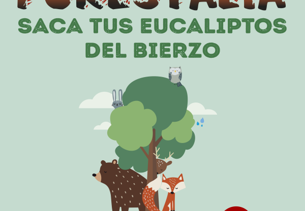 Imagen de cabecera de Forestalia, ¡saca tus eucaliptos del Bierzo!