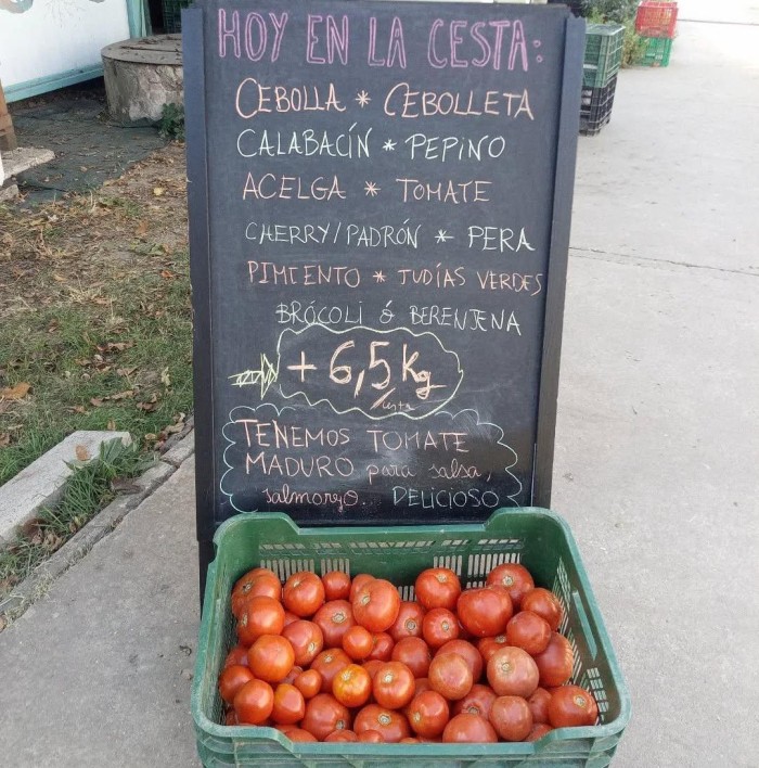 cesta7.jpg