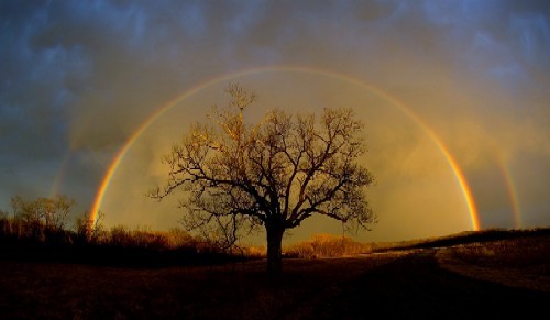 ARCOIRIS DE PALABRAS