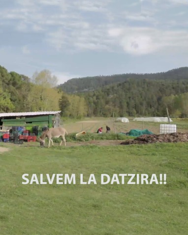 Imagen de cabecera