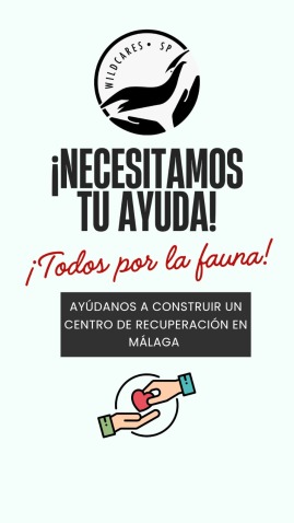 Imagen de cabecera
